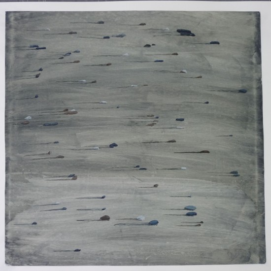 Pebbles. 2010. Oil on Paper. 45x45cm