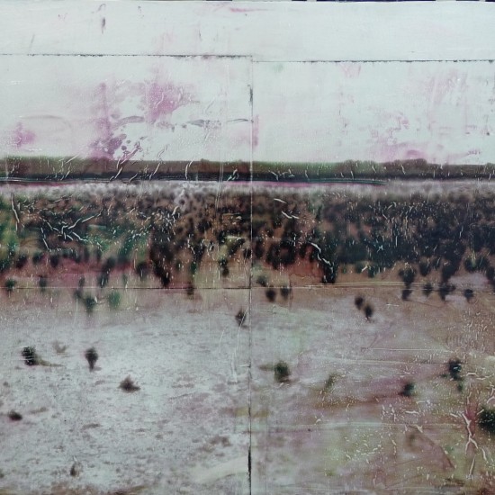 Study for The Dyke. 2009. Photographic Transfer and oil on board. 60 x 45 cm.